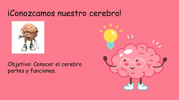 El cerebro