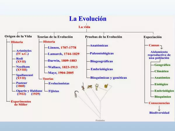1° medio Biologia teorias de la evolucion