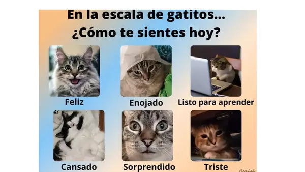Textos Argumentativos: Tesis, Argumentos y Características