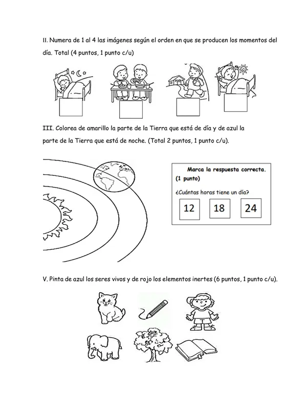 Evaluación Diagnóstica de Ciencias Naturales - 2° Básico (Editable).