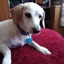 Martín Cáceres - @martin.caceres