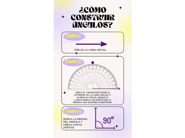 Como utilizar el transportador
