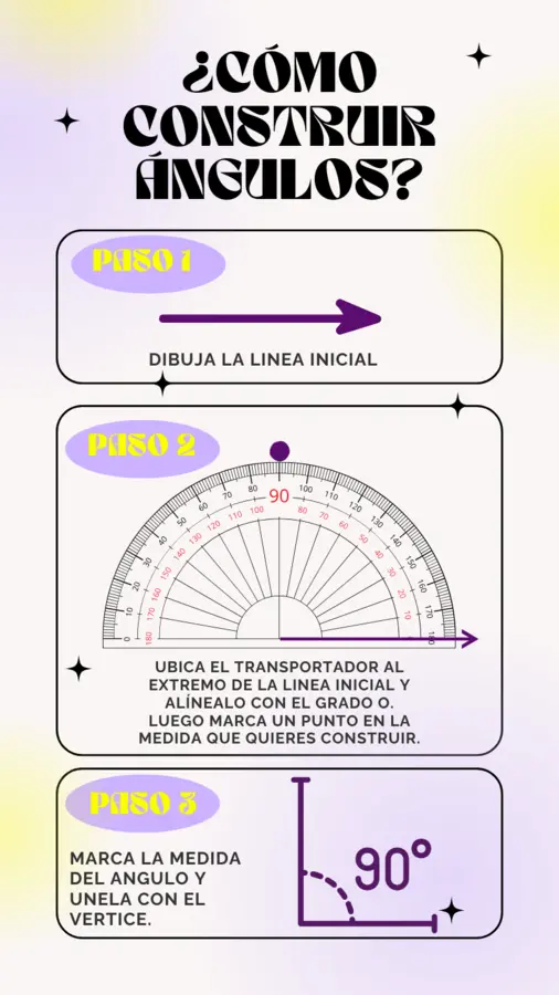 Como utilizar el transportador