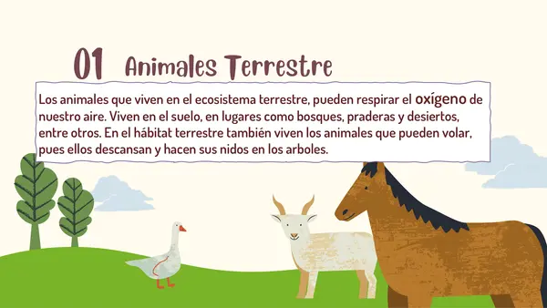 Los animales y sus hábitats 