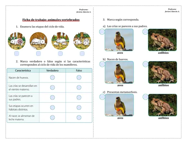 Guía animales vertebrados