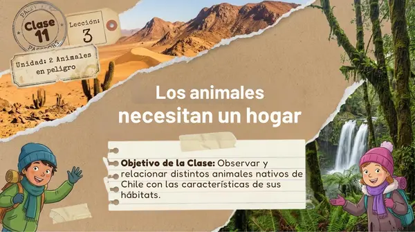 Clase 11 Lección 3 Unidad 2 "Los animales necesitan un hogar" 2° Básico