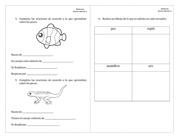 Guía animales vertebrados