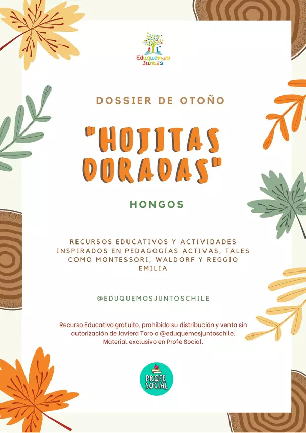 Dossier Hojitas Doradas - Hongos
