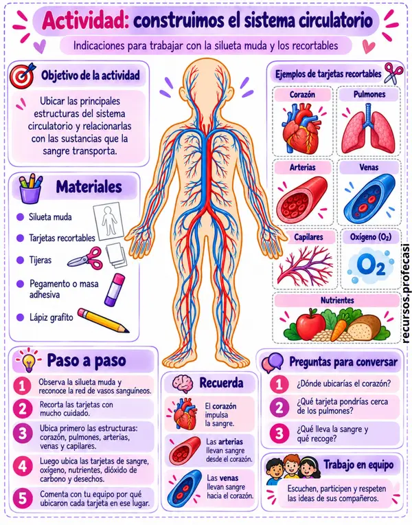 5TO SISTEMA CIRCULATORIO 