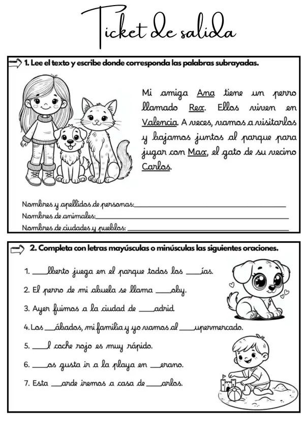Ticket de salida uso de mayúsculas y minúsculas