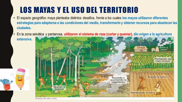 uso del territorio maya mediante el comercio y sus métodos de cultivo