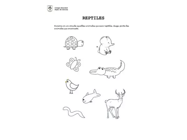 Guía de Trabajo Reptiles