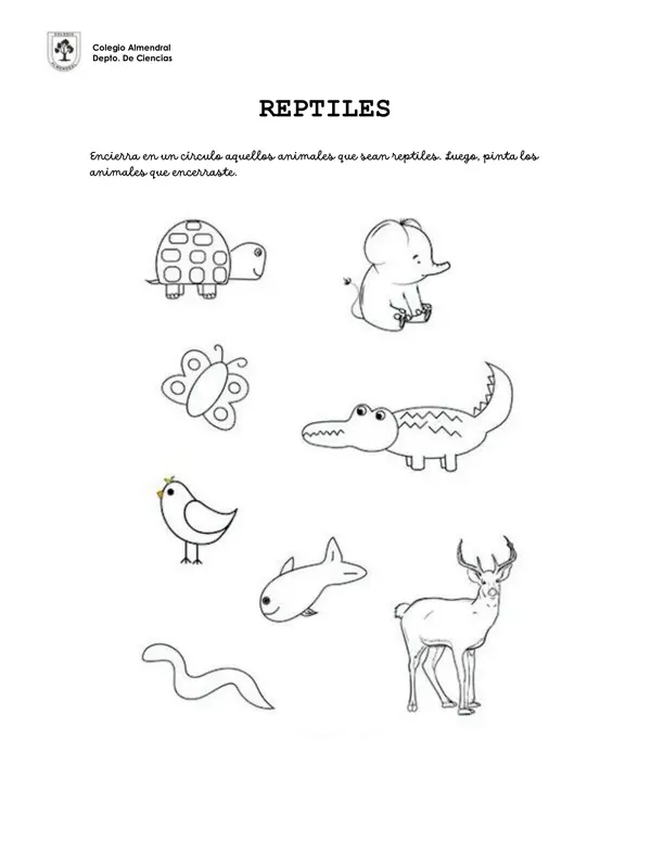 Guía de Trabajo Reptiles