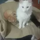 Ana Luisa Muñoz - @ana.luisa.munoz