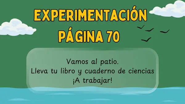 Descubrir los  efectos de la  erosión en los  suelos.