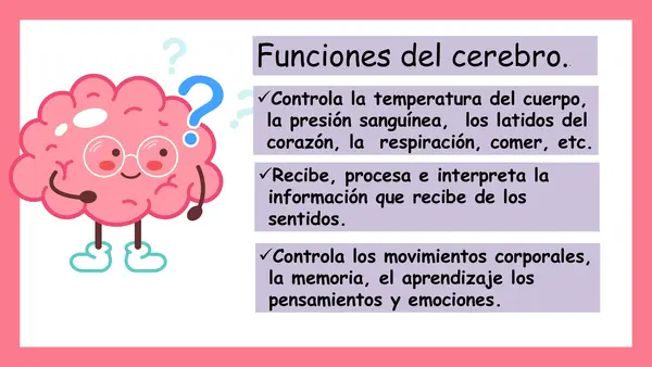 El cerebro