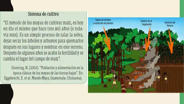 uso del territorio maya mediante el comercio y sus métodos de cultivo