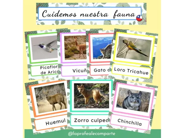 Carteles "Cuidemos nuestra fauna chilena"