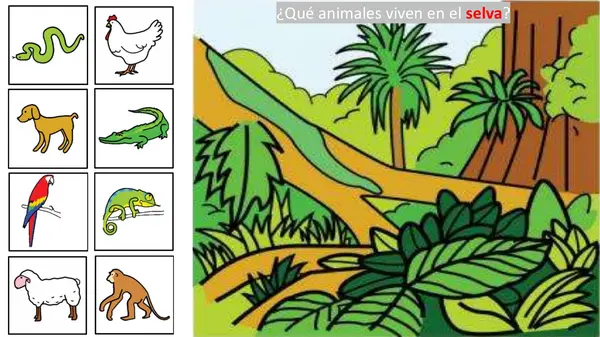 Animales