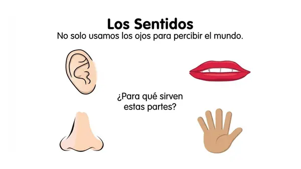 Lección 1 OJO Parte 1 Minúsculas Método Matte