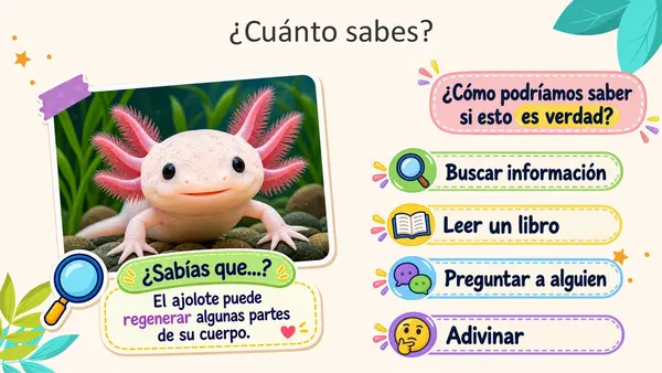 El texto informativo / La noticia 2-3 basico 