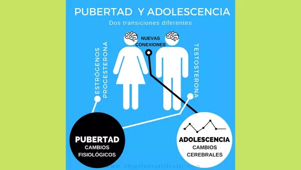 Adolescencia y pubertad