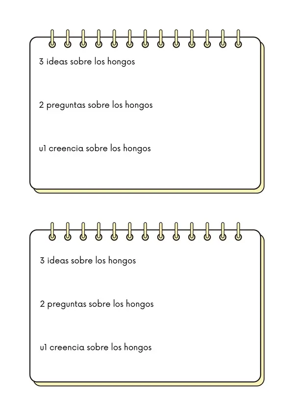 Rutina de pensamiento  321