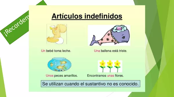 actividad grupo de elementos, articulos, primero , basico, lenguaje
