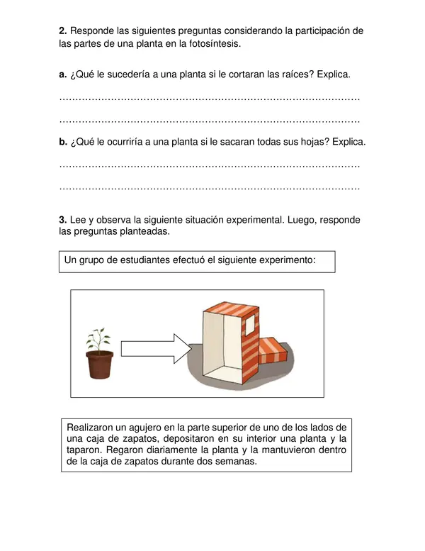 Guía de ciencias "Plantas" tercer año