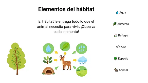 “El hábitat de los animales y los animales en peligro de extinción en Chile”