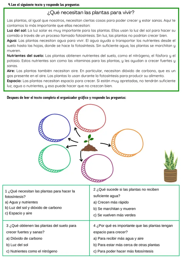  Las Plantas: Partes, Necesidades y Funciones Ficha de Ciencias para 2° - 4° Básico