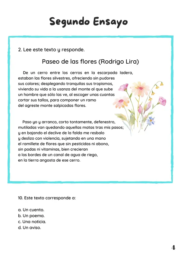 Ensayo SIMCE N°2 Lenguaje 4° Básico: Narrativa, Poesía y Gramática