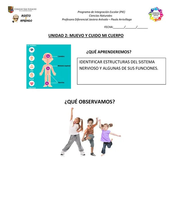 Cuadernillo de actividades: Sistema Nervioso NEEP 