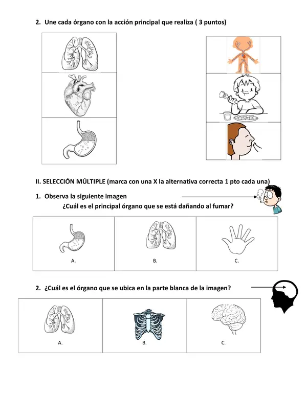 Evaluación Ciencias 2° básico