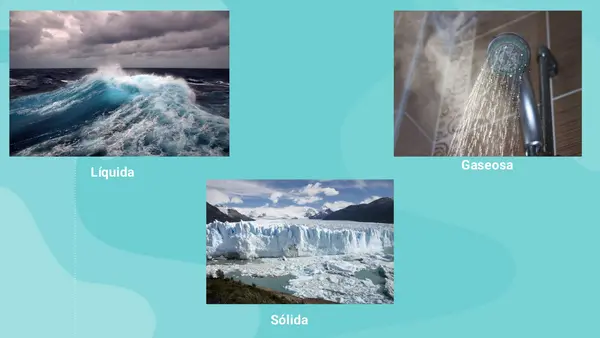 El ciclo del agua