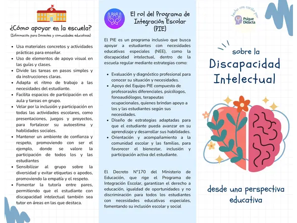 Tríptico sobre la Discapacidad Intelectual desde una perspectiva educativa