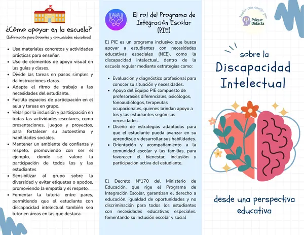 Tríptico sobre la Discapacidad Intelectual desde una perspectiva educativa