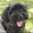 Pauly Georgette - @pauly.georgette