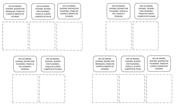 FICHA DE CLASIFICACION DE ANIMALES 