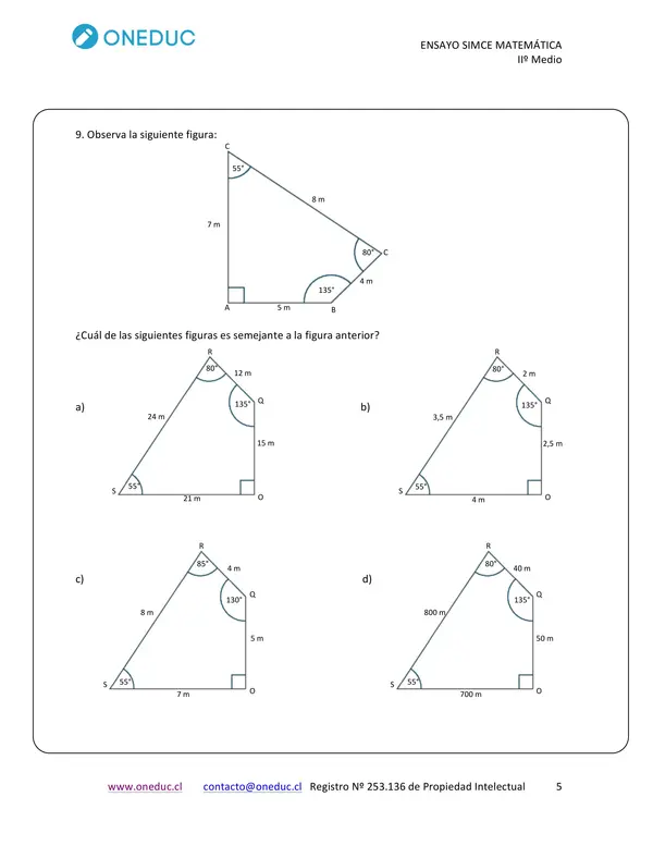 ensayo SIMCE 2dos medios - matemáticas 