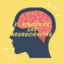 Nicole araya - @rincon.neurociencias