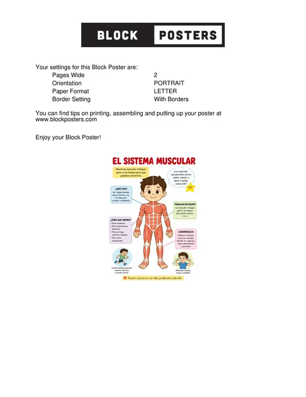 Sistema muscular