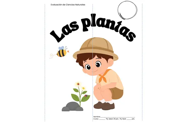 Evaluación práctica de las plantas