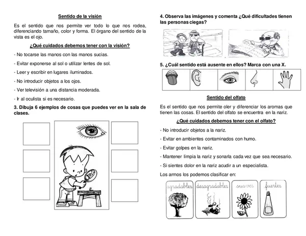 5 sentidos 
