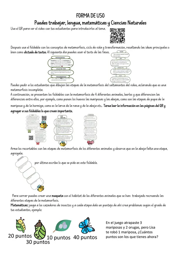 UNIDAD DIDÁCTICA METAMORFOSIS