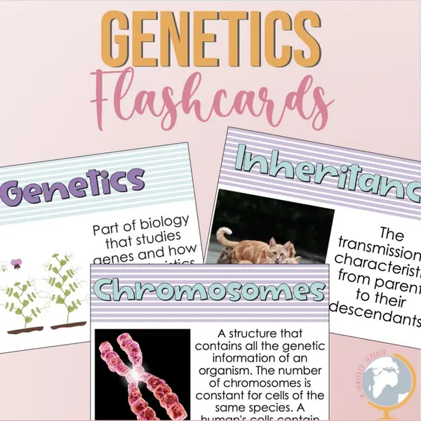 Genetics Vocabulary Flash cards