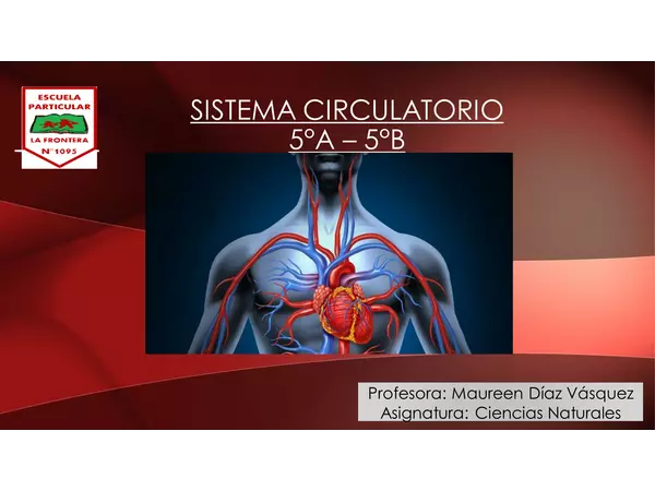 Sistema Circulatorio 5° básico