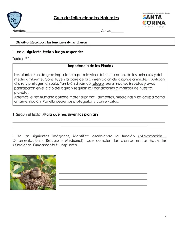 Guia de plantas