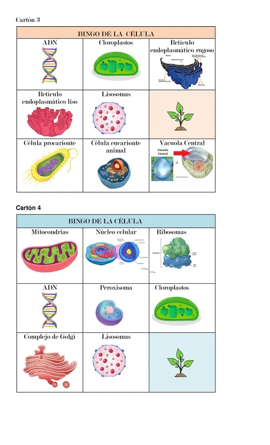 BINGO DE LA CÉLULA