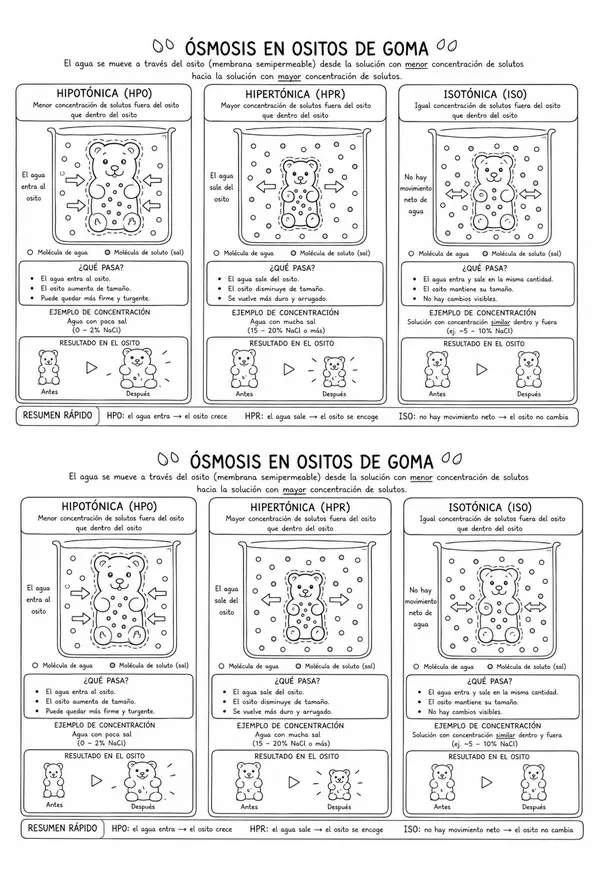 Ositos ósmosis